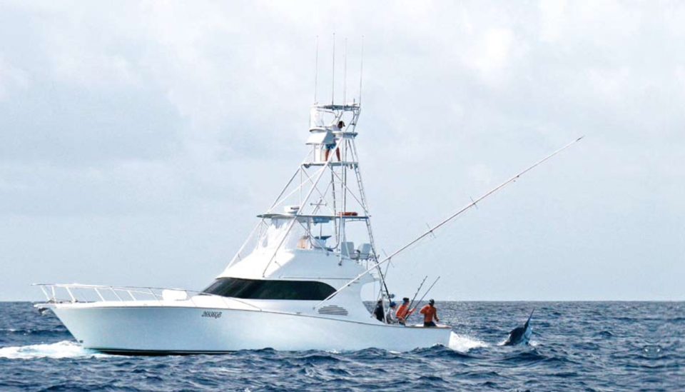 2009 Cairns Marlin Season Recap