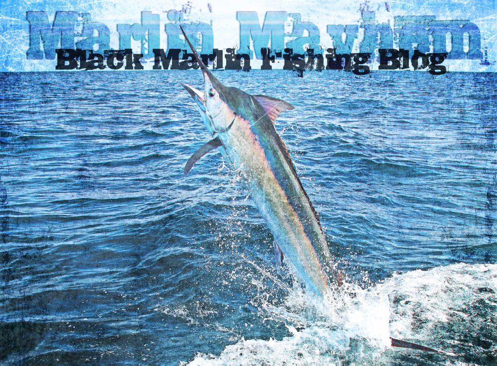 marlin desktop wallpaper