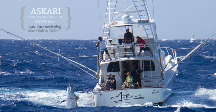 askari-black-marlin