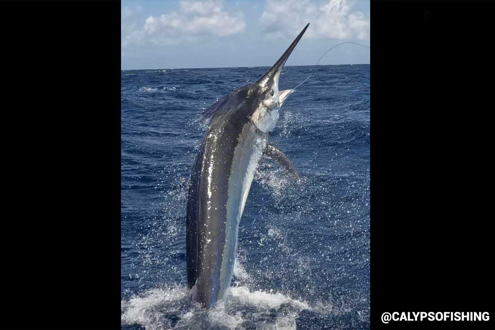 first-update-for-marlin-season-2023