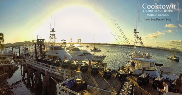 cooktown-black-marlin-classic